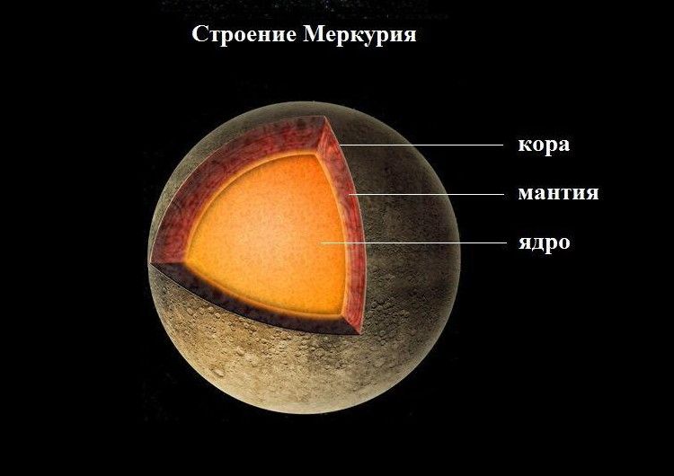 Рисунок марса в разрезе