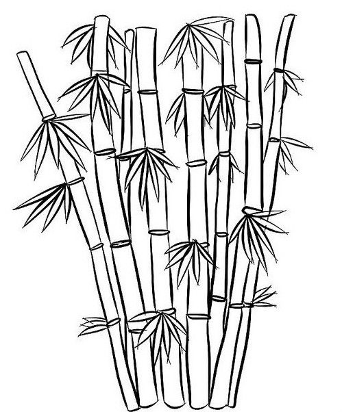 Малюнки бамбука для срісовкі