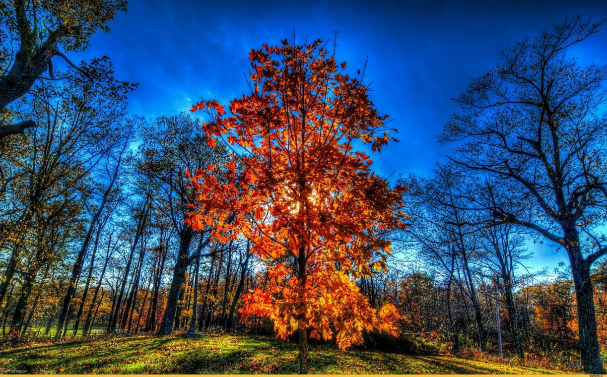 Картинки красива осінь