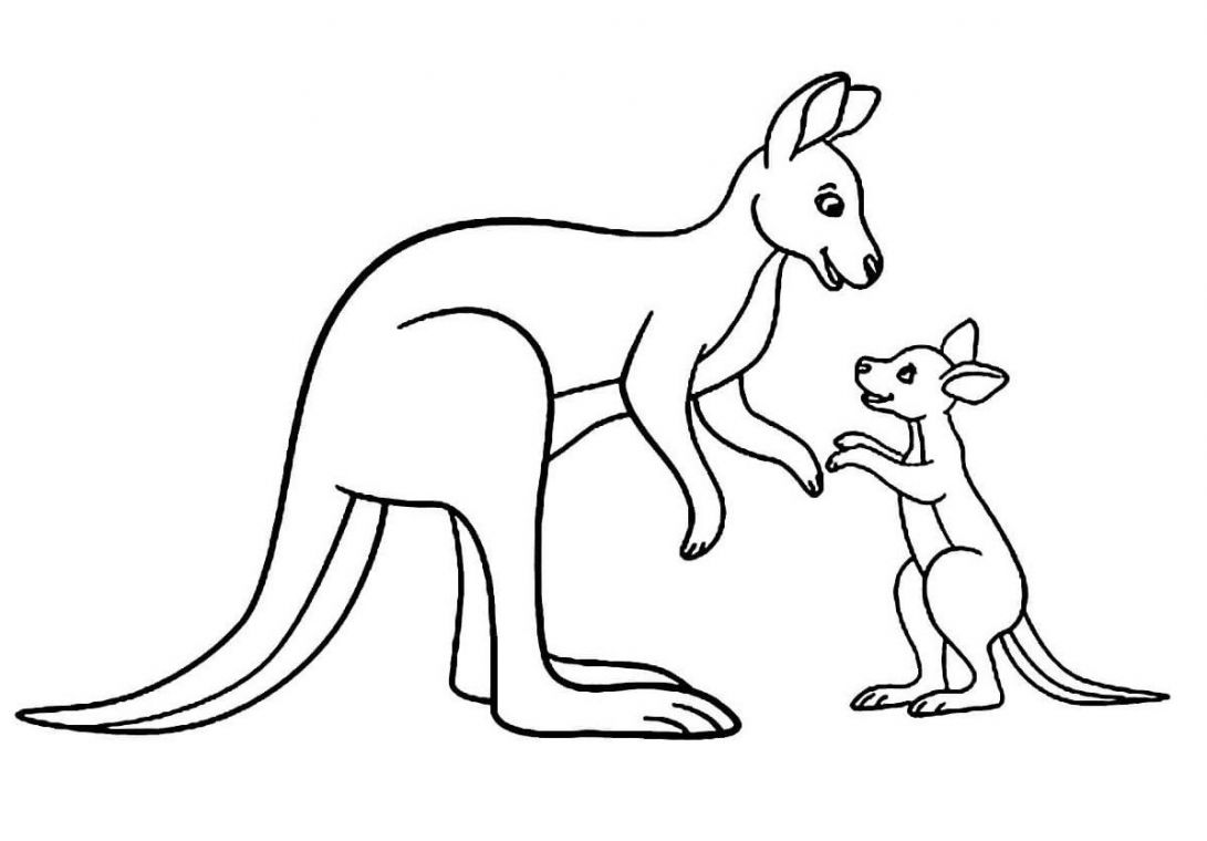 Малюнки кенгуру для срісовкі