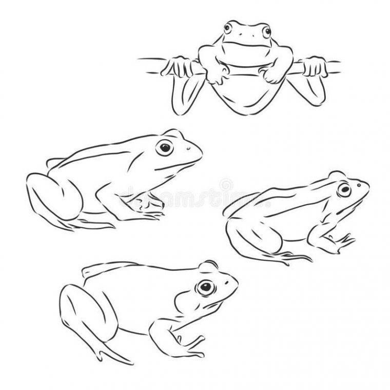 Малюнки жаби для срісовкі