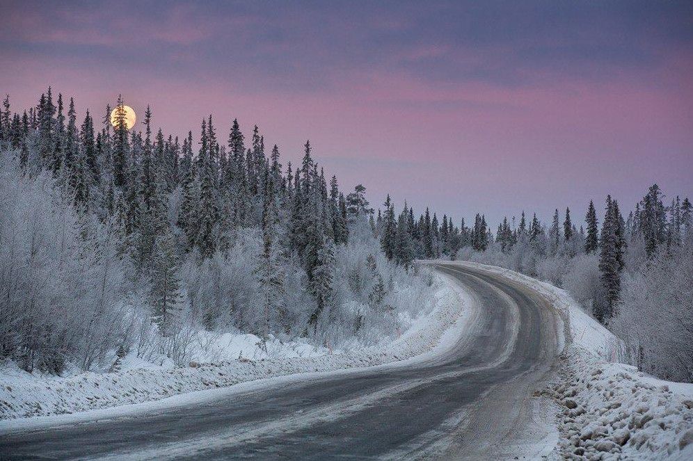 Над тайгой. Север Тайга. Светло серый Северная Тайга. Top Север Тайга. Фотографии тайги тогда и сейчас.