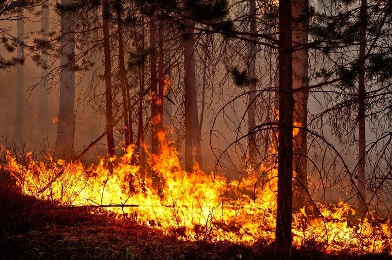 Фото картинки надзвичайних ситуацій