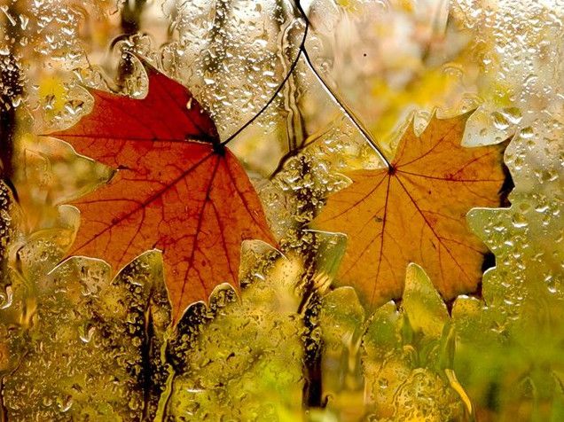 Фото картинки осінь за вікном