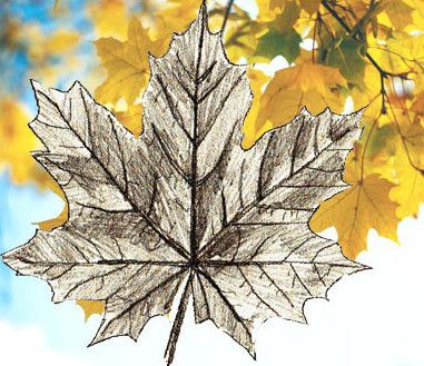Як намалювати осіннє листя