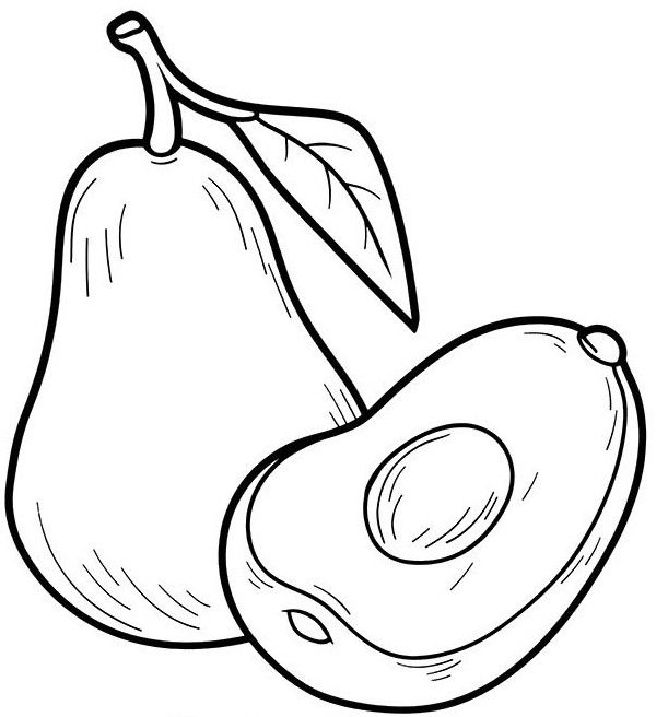 Малюнки авокадо для срісовкі