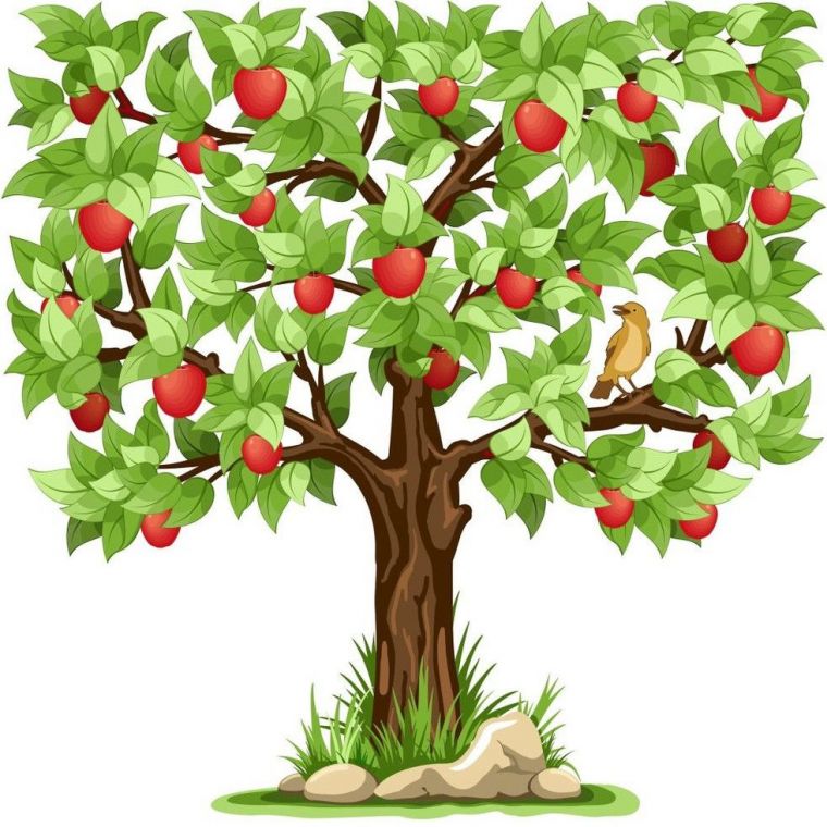Картинки для дітей яблуня