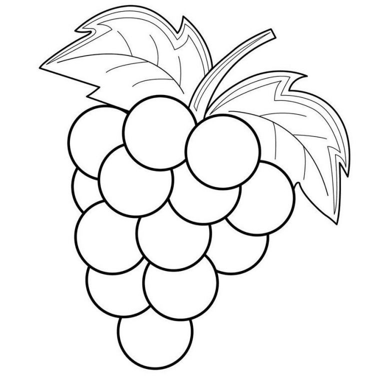 Малюнки винограду для срісовкі