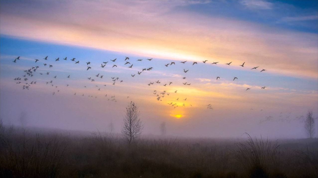 Фото і Зображення осіннього неба