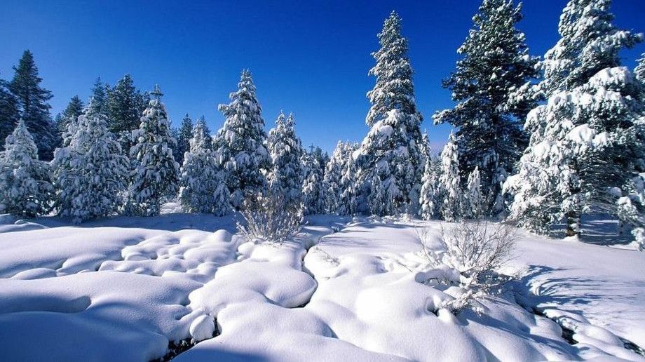 Красиві картинки про зиму