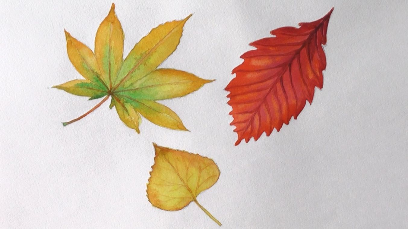 Фото і Зображення «Намалювати осіннє листя»