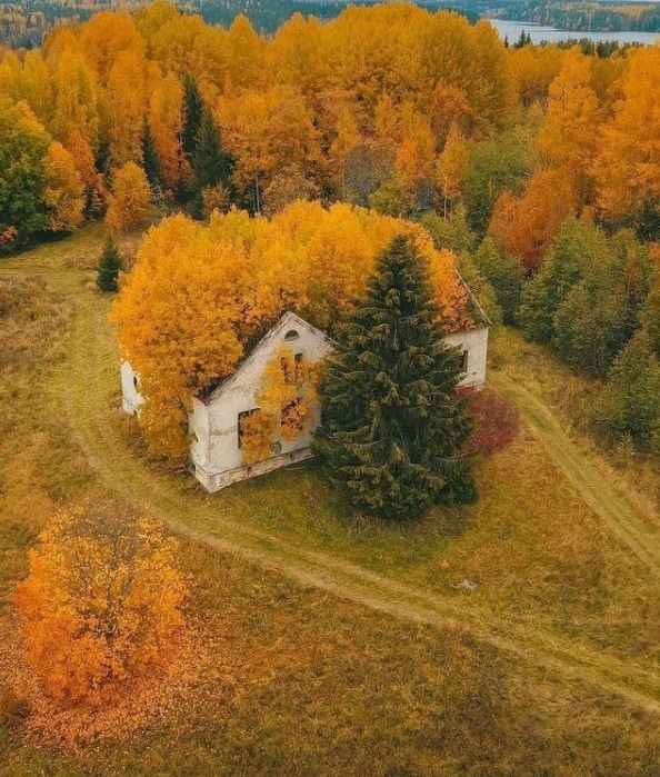 Добірка фотографій атмосферних занедбаних місць 13.11.2021