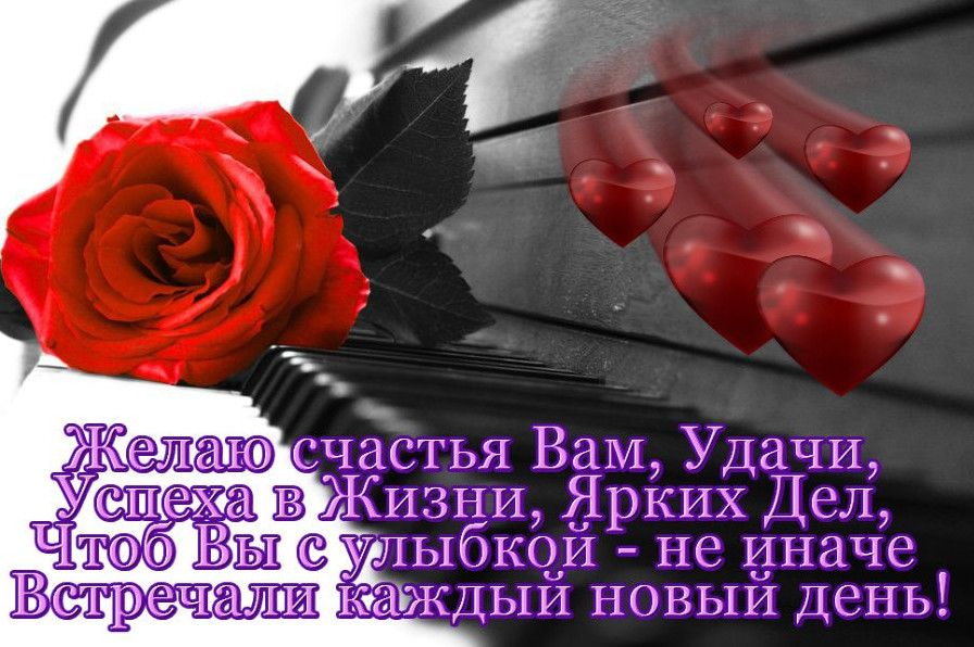 Они и вам. Счастья вам стихи. Желаю вам счастья. Стихи пожелания любви и счастья. Счастья вам друзья.