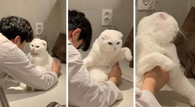 Фото:  Кіт не хоче обійматися із господарем