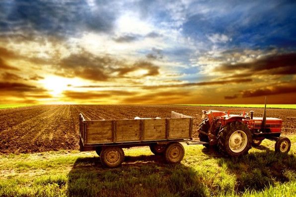 Гарні картинки із Днем працівників сільського господарства України