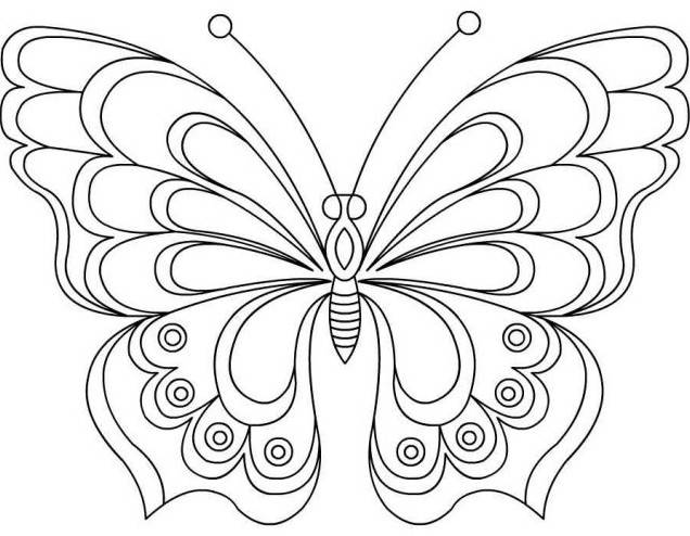 Малюнки олівцем для дітей метелика