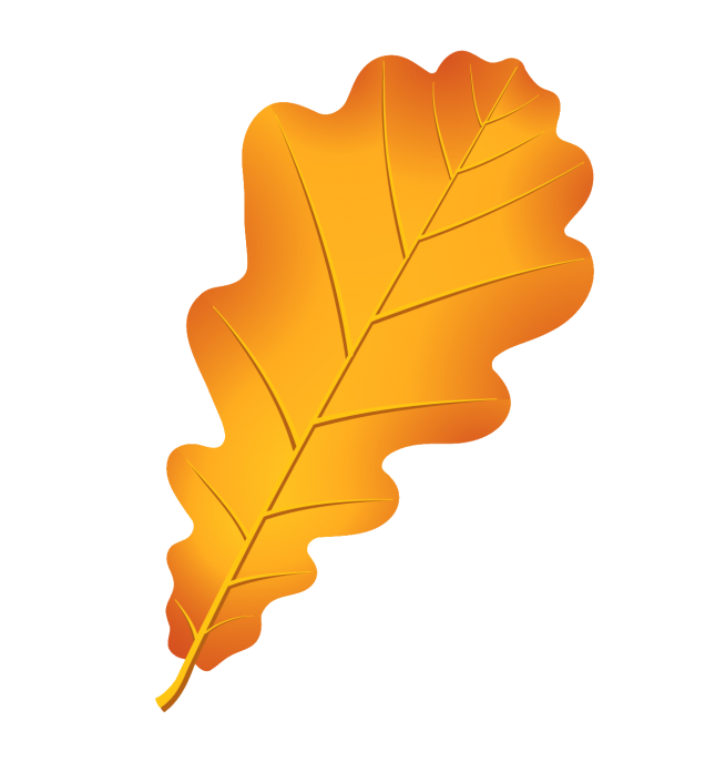 Малюнки осіннього листя олівцем