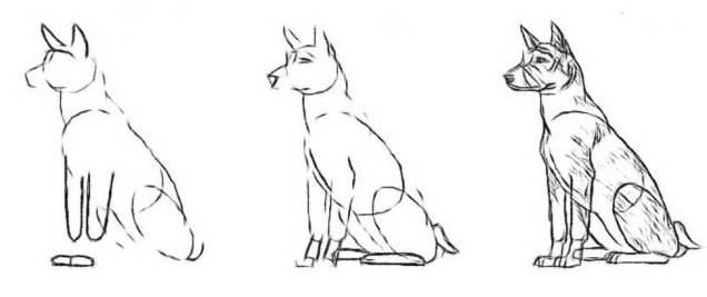 Малюнки собаки олівцем для дітей