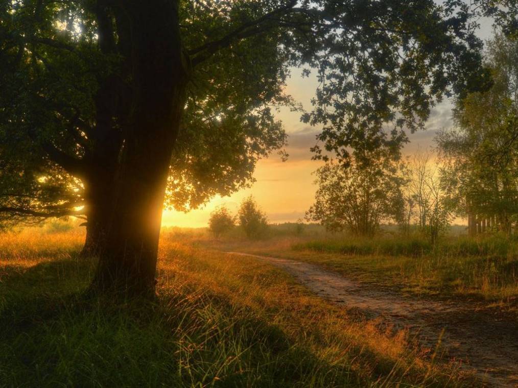 Фото і Зображення на робочий стіл «Природа серпня»