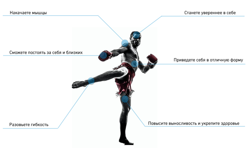 Удары в кикбоксинге названия и картинки