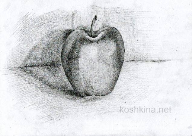 Малюнки яблука олівцем з поетапною тінню