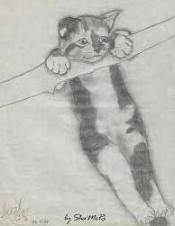 Малюнок олівцем чорно-білий кіт