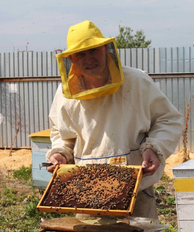 Картинки бджоляр (41 фото)